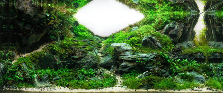 Water ways