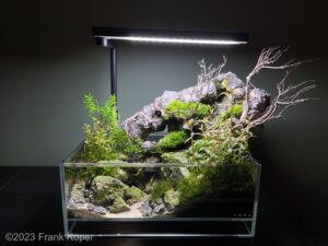 Mountain Forrest - Aqua Plants Hub