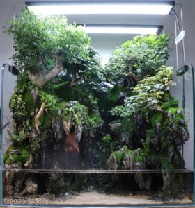 AGA 2023 Layout 327 - Aqua Plants Hub