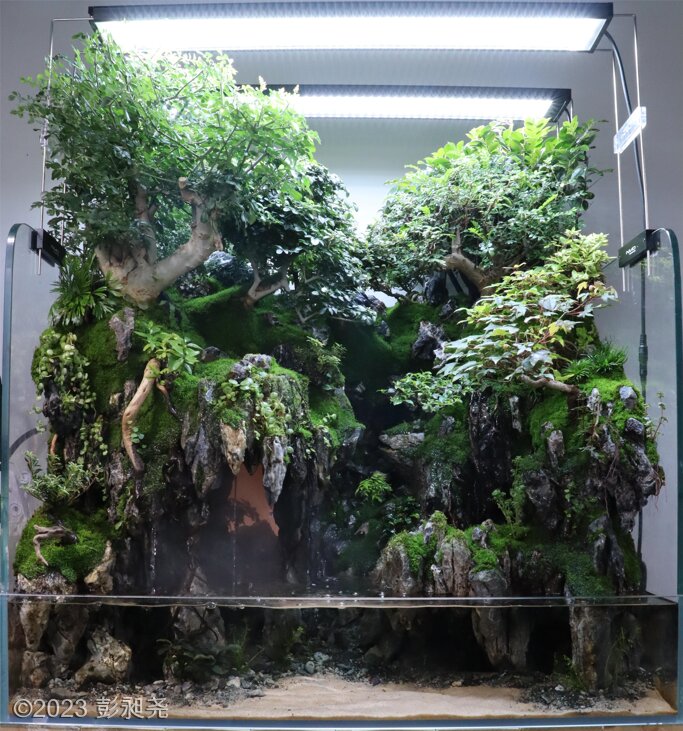 AGA 2023 Layout 327 - Aqua Plants Hub