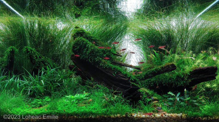 Relax in the Flow