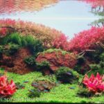 Hills of Valinor - Aqua Plants Hub