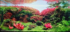Hills of Valinor - Aqua Plants Hub