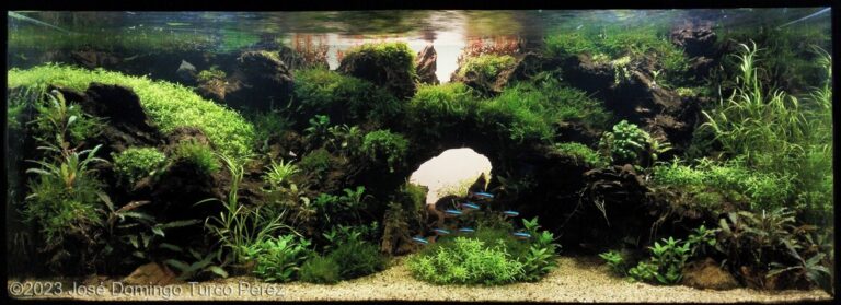 The grotto