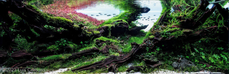 Flow of Nature (AGA 2023 #370)