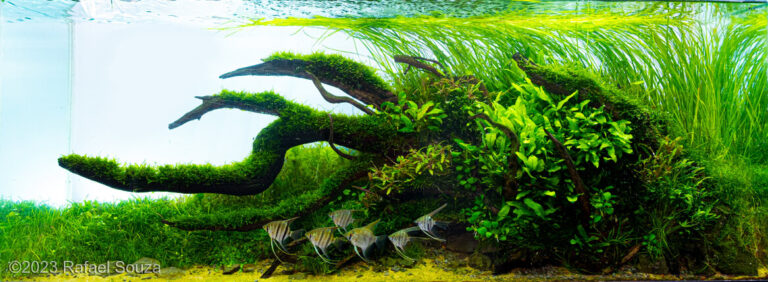 Nature Paradise
