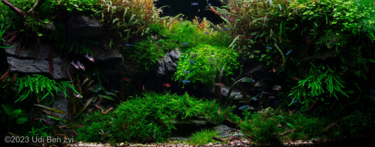 Gideon’s Cave