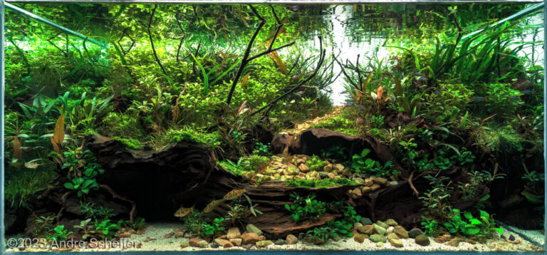 Riverrun