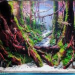 Forest path - Aqua Plants Hub