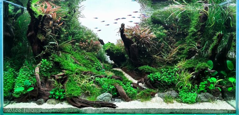Nature temptation