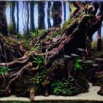 Rimba - Rimba (AGA 2023 #399) - Aqua Plants Hub