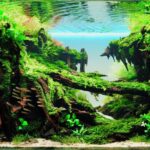 Genesis - Aqua Plants Hub