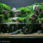 Unruh Mons - Aqua Plants Hub