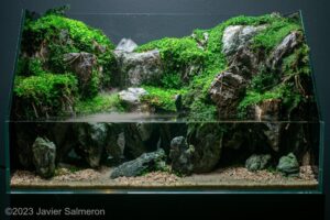 Unruh Mons - Aqua Plants Hub