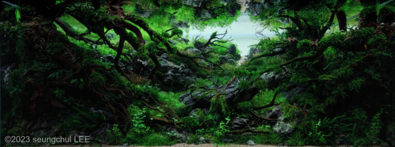 The shadow of nature