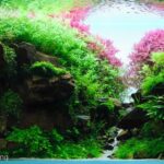 AGA 2023 Layout 430 - Aqua Plants Hub