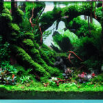 AGA 2023 Layout 433 - Aqua Plants Hub