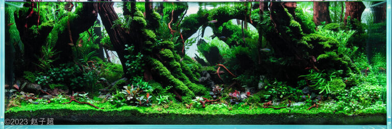 AGA 2023 Layout 433