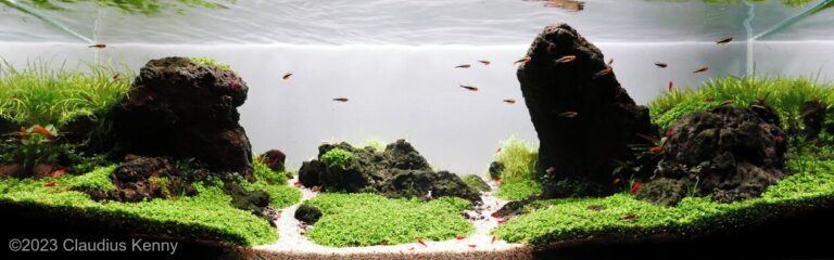 Rapa’s Repose
