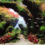 Entry of the Gods Into Valhalla - Aqua Plants Hub
