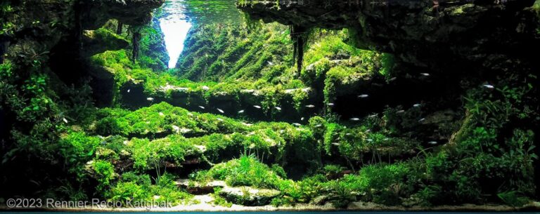 CENOTE