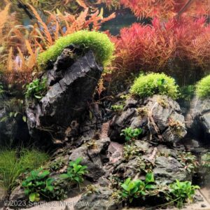 Mysterious mountains - Aqua Plants Hub