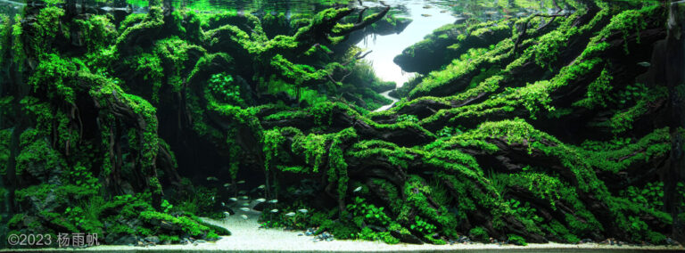 AGA 2023 Layout 466