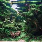 The Guardians of the Forest - Aqua Plants Hub