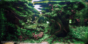 The Guardians of the Forest - Aqua Plants Hub