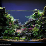 Forest in Panderman mountain - Aqua Plants Hub