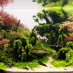 Beginning of Fall - Aqua Plants Hub