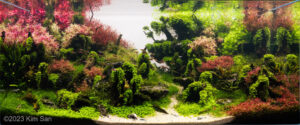 Beginning of Fall - Aqua Plants Hub
