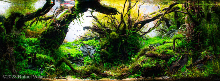 Resilience (AGA 2023 #489)