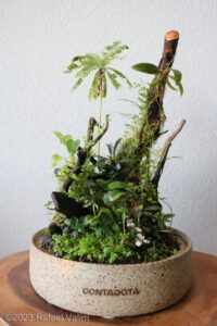Dropper - Aqua Plants Hub
