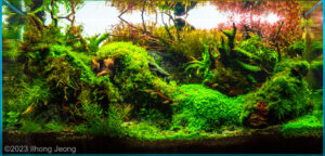 Ilhong Jeong - Aqua Plants Hub
