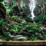 DETOUR - Aqua Plants Hub