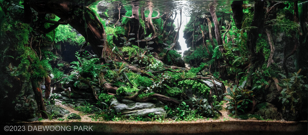 DETOUR - Aqua Plants Hub