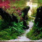 Horizon - Aqua Plants Hub