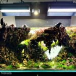 AGA 2023 Layout 525 - Aqua Plants Hub