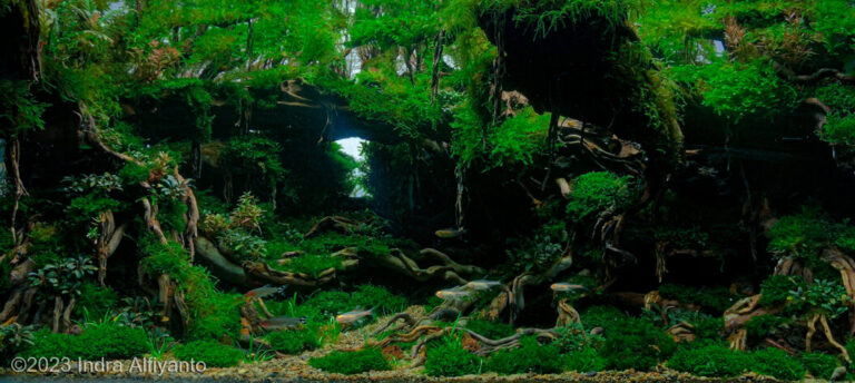 Lembah Angker
