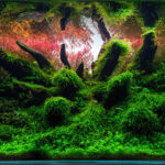 Poseidon's Trident II - Poseidon’s Trident II - Aqua Plants Hub