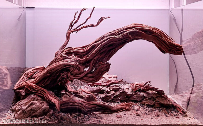 Elephant Branch