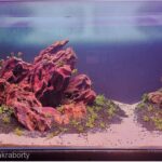 Introduction - Aqua Plants Hub