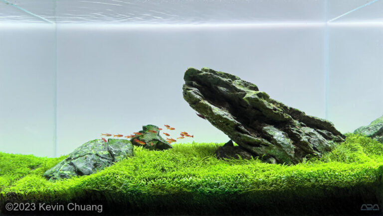 Pride Rock