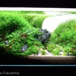 GUNJO - Aqua Plants Hub