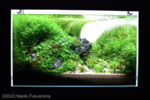 GUNJO - Aqua Plants Hub