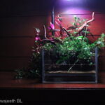 River Banks! - Aqua Plants Hub