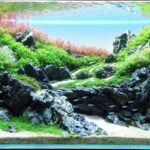 AGA 2023 Layout 619 - Aqua Plants Hub