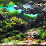 The Cave - Aqua Plants Hub