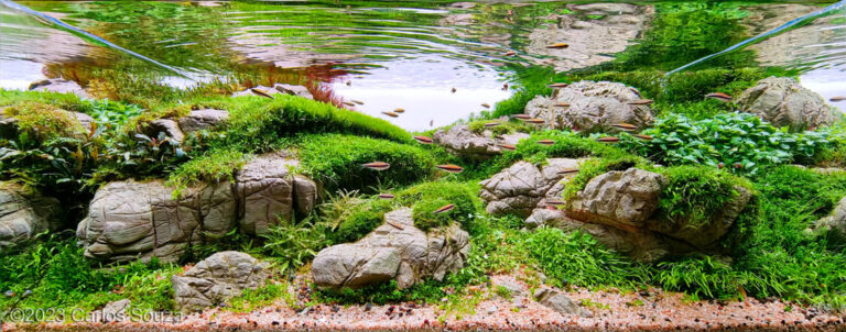 River of silver